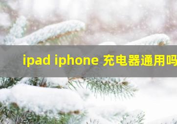 ipad iphone 充电器通用吗